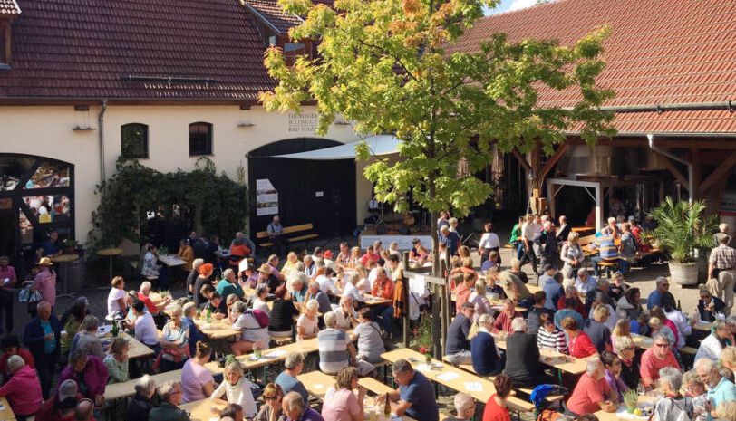 Mehr Informationen zu: Federweißenfest im Weingutshof Sonnendorf