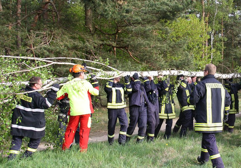 Mehr Informationen zu: Maibaumsetzen in der Festscheune Sieglitz