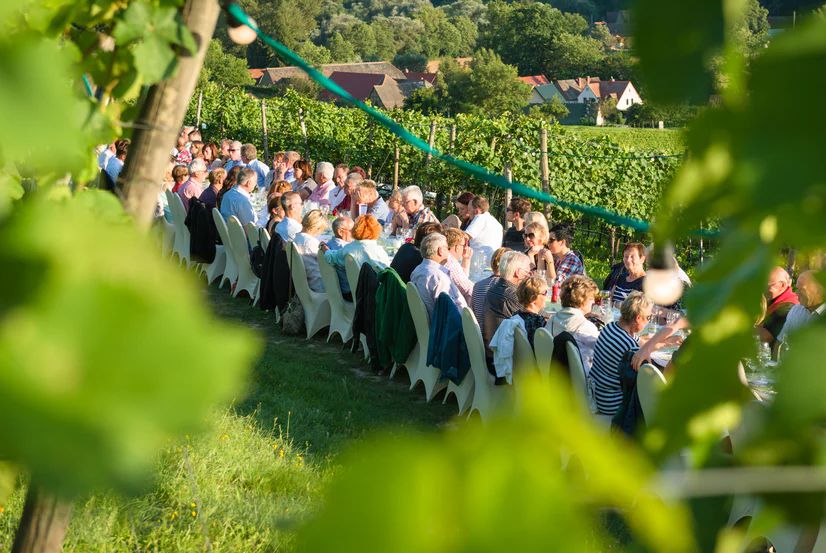 Mehr Informationen zu: Tafeln im Daxberg