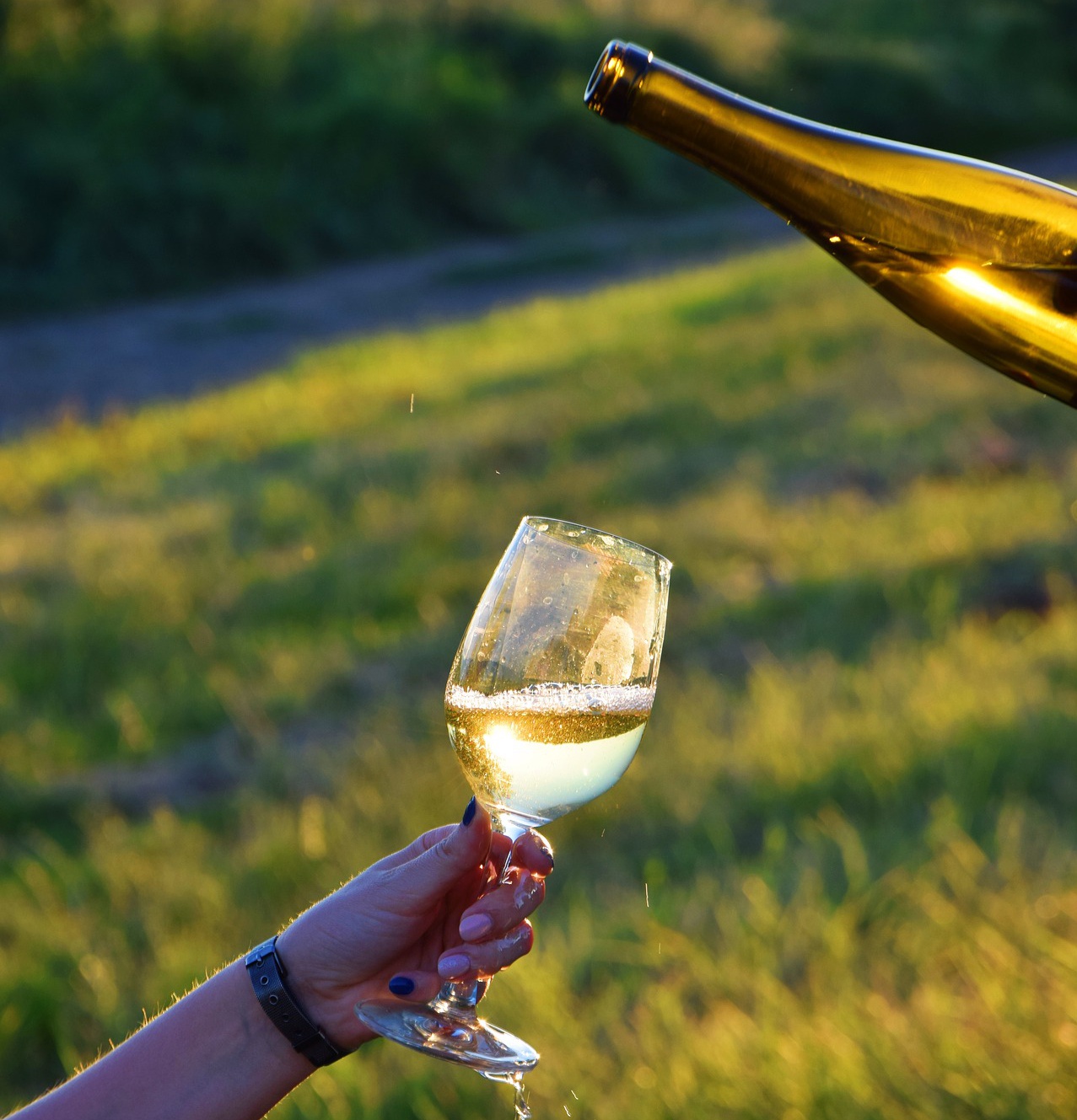 Mehr Informationen zu: Wein und Käse - 5 Weine + 5 Käsesorten