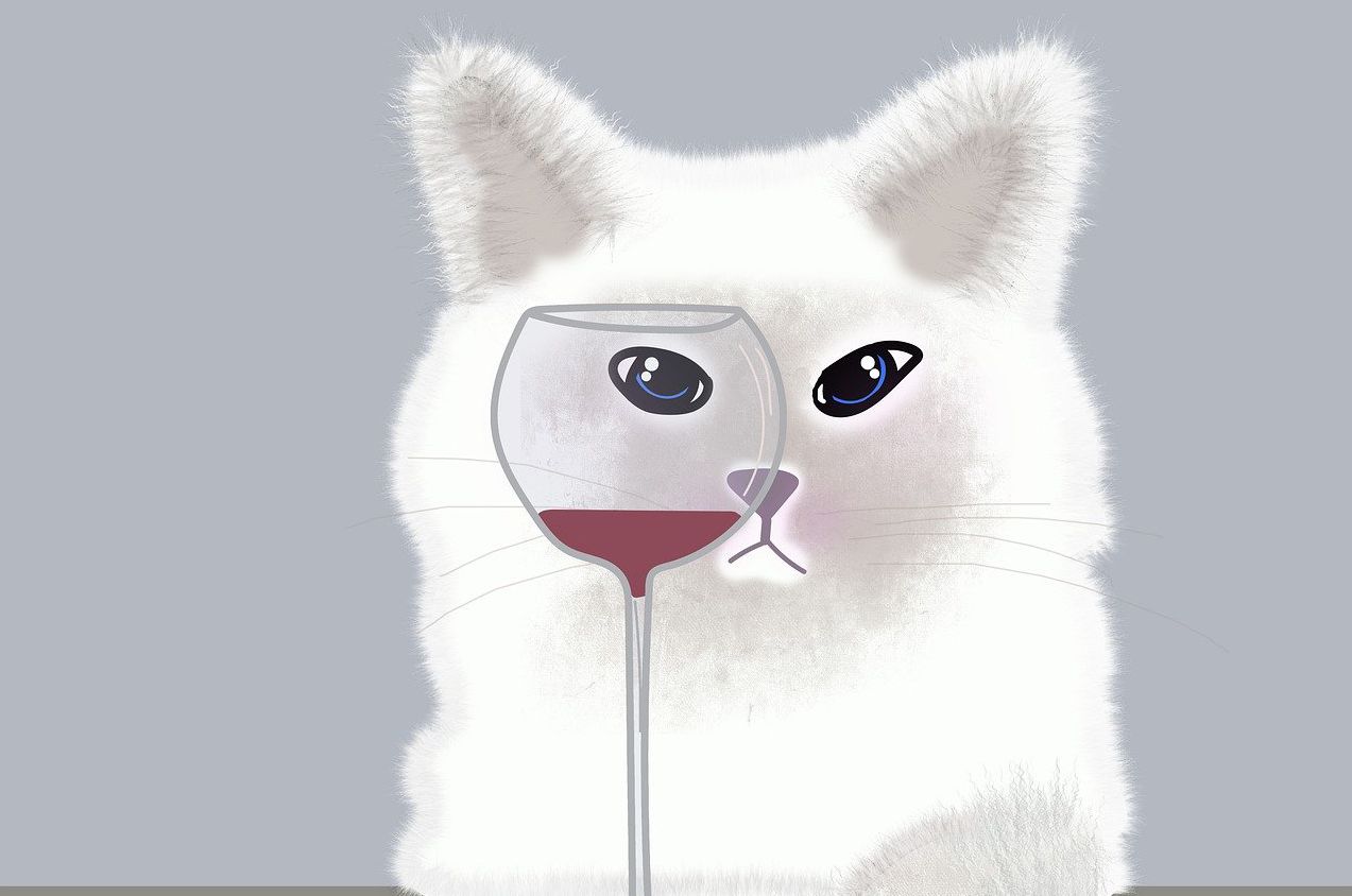 Mehr Informationen zu: Wein und Gesundheit mit Prof. Wartenberg